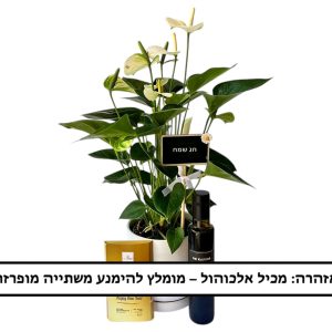 מארז אונטוריום חגיגי